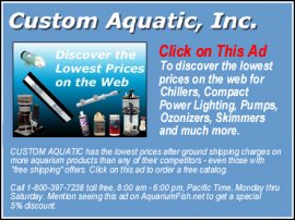 Custom Aquatics Inc. - Click on this Ad to discover the lowest prices on the web for aquarium chillers, compact power lighting, pumps, ozonizers, skimmers, and much more.