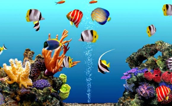 Aquarium Screensavers For