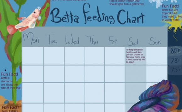 Betta feeding chart by