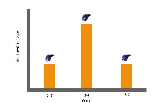 Betta Life Span Graph