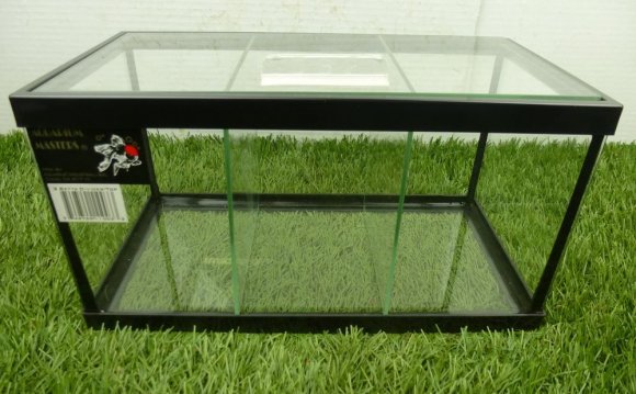 Betta Fish Tanks with Dividers