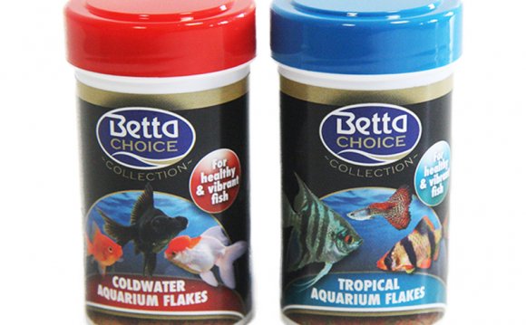 Betta Choice Aquarium Fish
