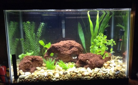 Aquarium I Keep Changing The