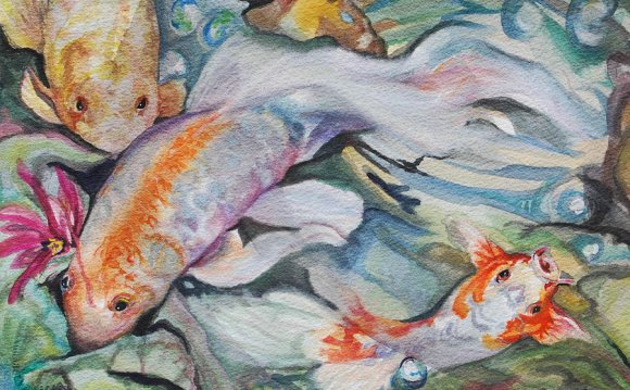 Koi Fan Tail Fish By Phyllis