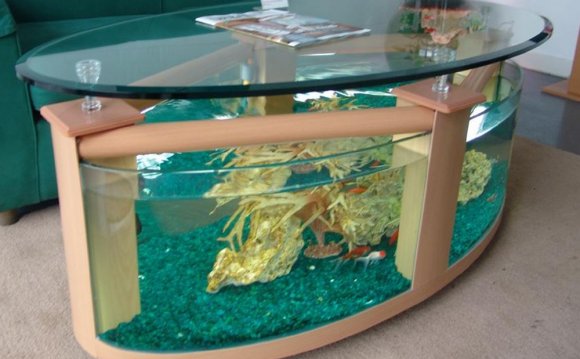 Unconventional fish tank ideas