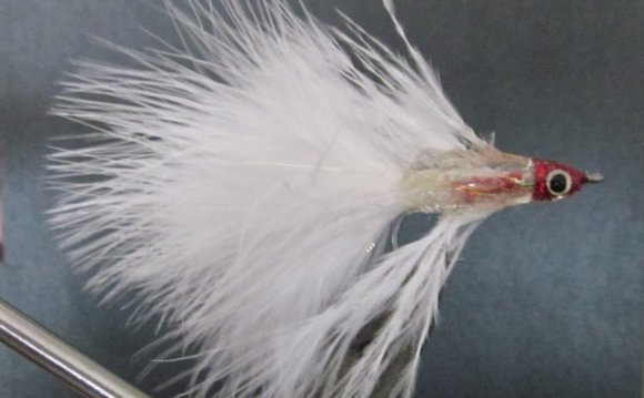 Step-by-Step Tying White Betta