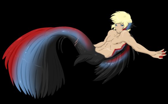 Revealed - Betta Fish Boy