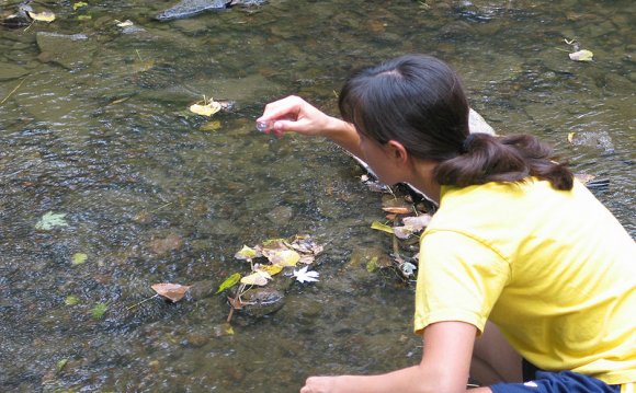 Water Sampling