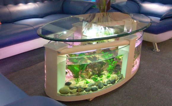 Coffee table fish