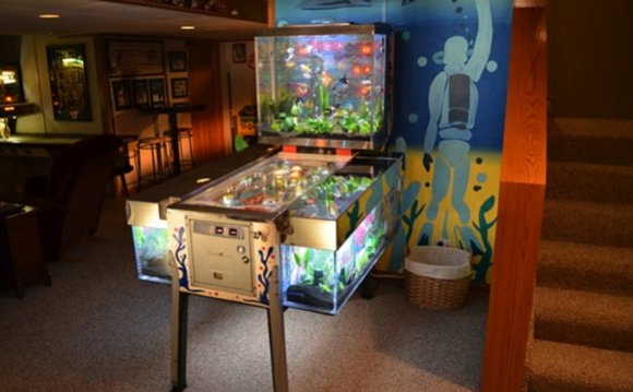 Unique Fish Tank