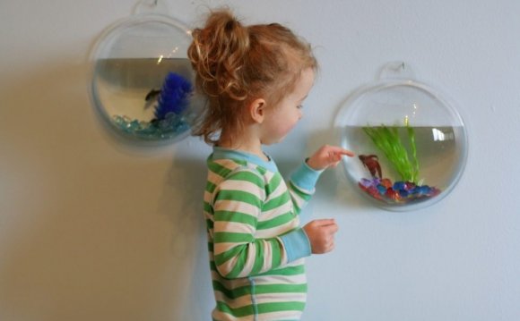 Wall Mount Fish Bowl Petco