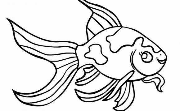 Betta fish coloring pages