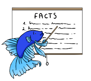 Betta fish facts