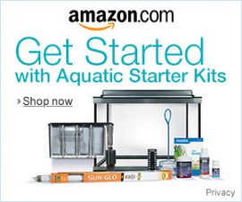 Betta fish tank starter kit