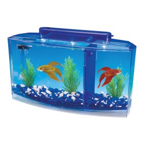 betta tank bowls