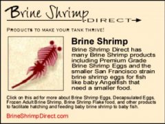 Brine Shrimp Direct - Products to Make Your Tank Thrive. Click on this display ad to learn more about these products.