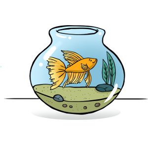 Can betta fish live in a bowl?