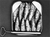 can of sardines