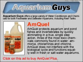 Click on this ad now to buy AmQuel, aquarium water conditioner.