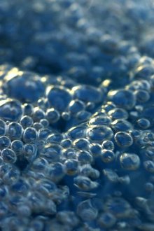 Clusters of bubbles on top of water usually signal a betta fish nest.