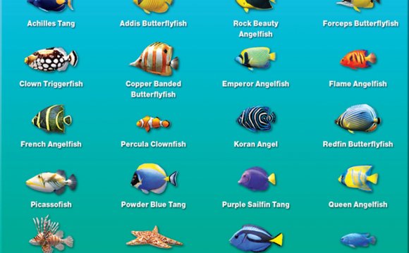Fish names for Betta