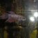 Baby female Betta fish