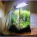 Betta fish Tanks Amazon