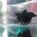 Black Crown Betta