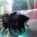 Black Crown Betta fish