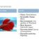 Scientific name for Betta fish