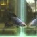 Thai Betta Fighter