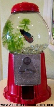 Gumball Machine Fish Bowl, learn how to make this yourself!