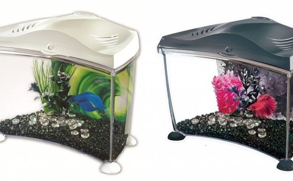 Marina Betta fish tank