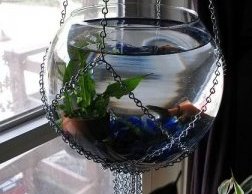 Hanging Fish Bowl