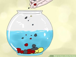 Image titled Clean a Betta Fish Bowl Step 19