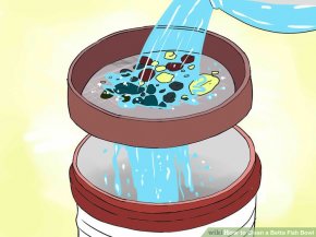 Image titled Clean a Betta Fish Bowl Step 17