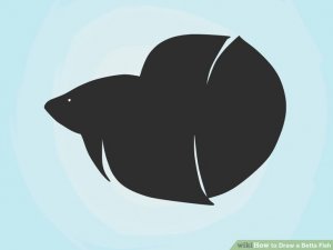 Image titled Draw a Betta Fish Step 1