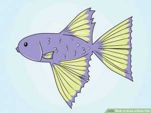 Image titled Draw a Betta Fish Step 10