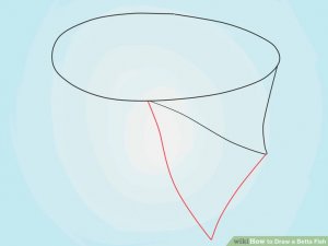 Image titled Draw a Betta Fish Step 4