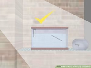 Image titled Make a Desktop Betta Bowl Step 8