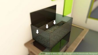 Image titled Make Your Fish Tank Look Professionally Designed Step 4