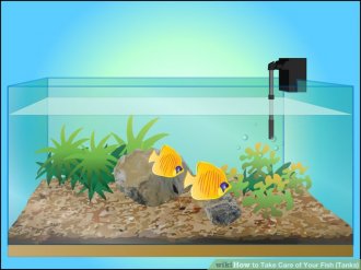 Image titled Take Care of Your Fish (Tanks) Step 6