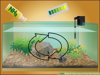 Image titled Take Care of Your Fish (Tanks) Step 5