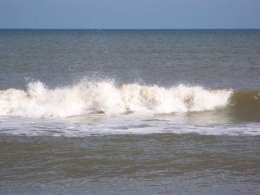 small mushy fish surfboard