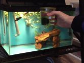 Awesome Betta fish Tanks