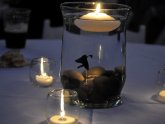 Beta fish Centerpieces