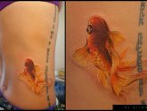 Beta fish Tattoo Meanings