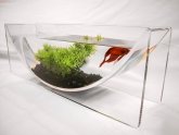 Betta fish bowl Setup