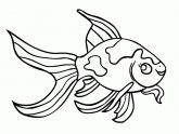 Betta fish coloring pages