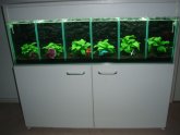 Betta fish tank Divider